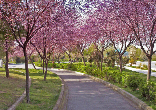 Theatre Park, Volos